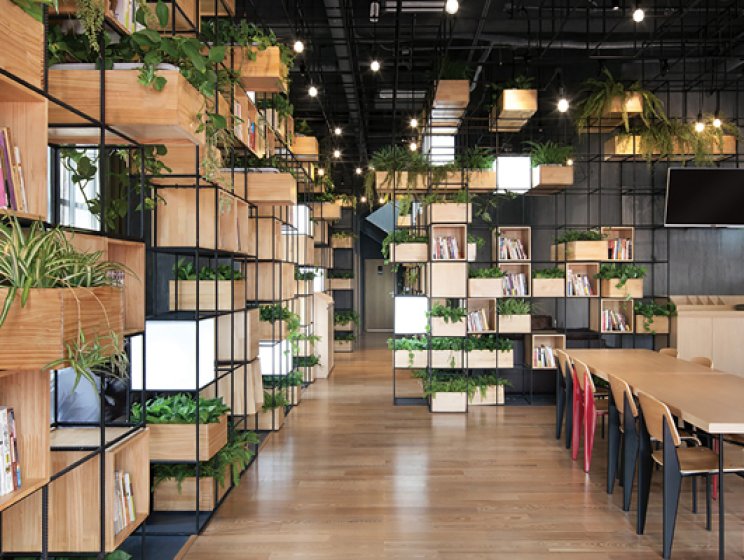 THIẾT KẾ QUÁN CAFE